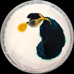 verfblik 6-2024 113145